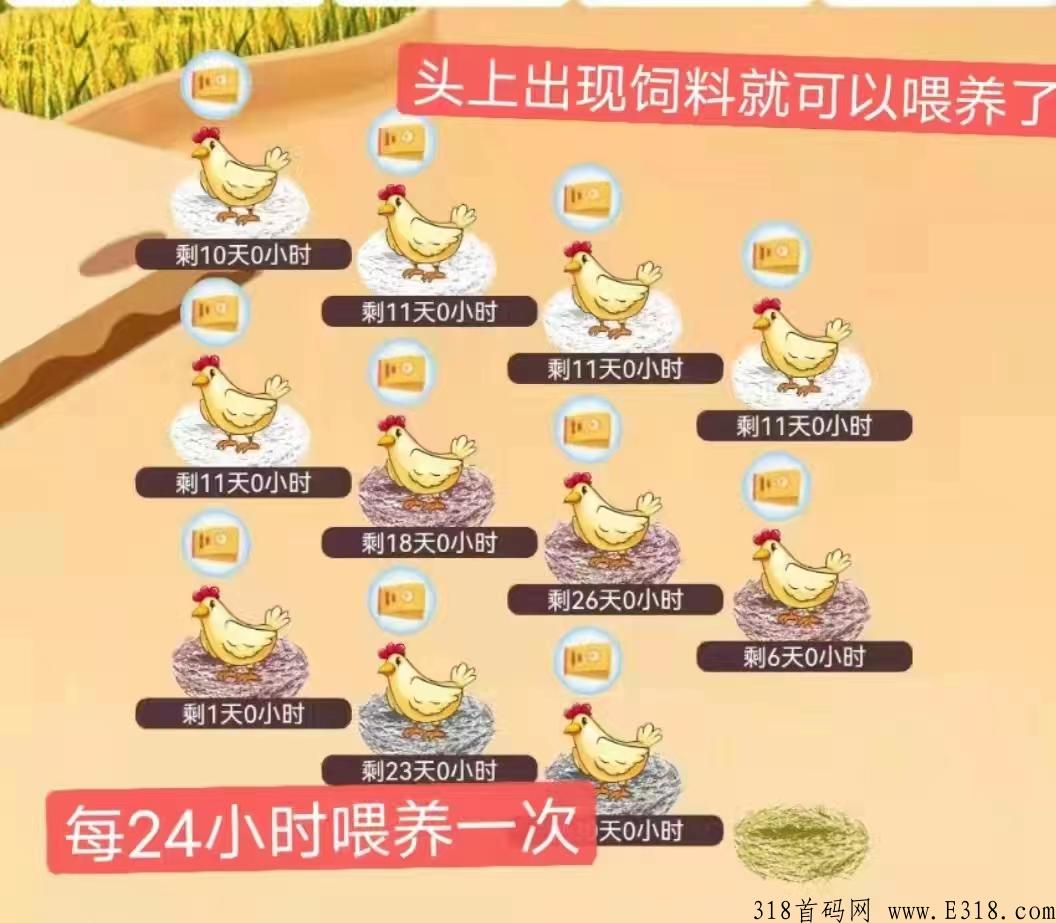 阿尼农场养鸡app下载，玩法魔性根本停不下来