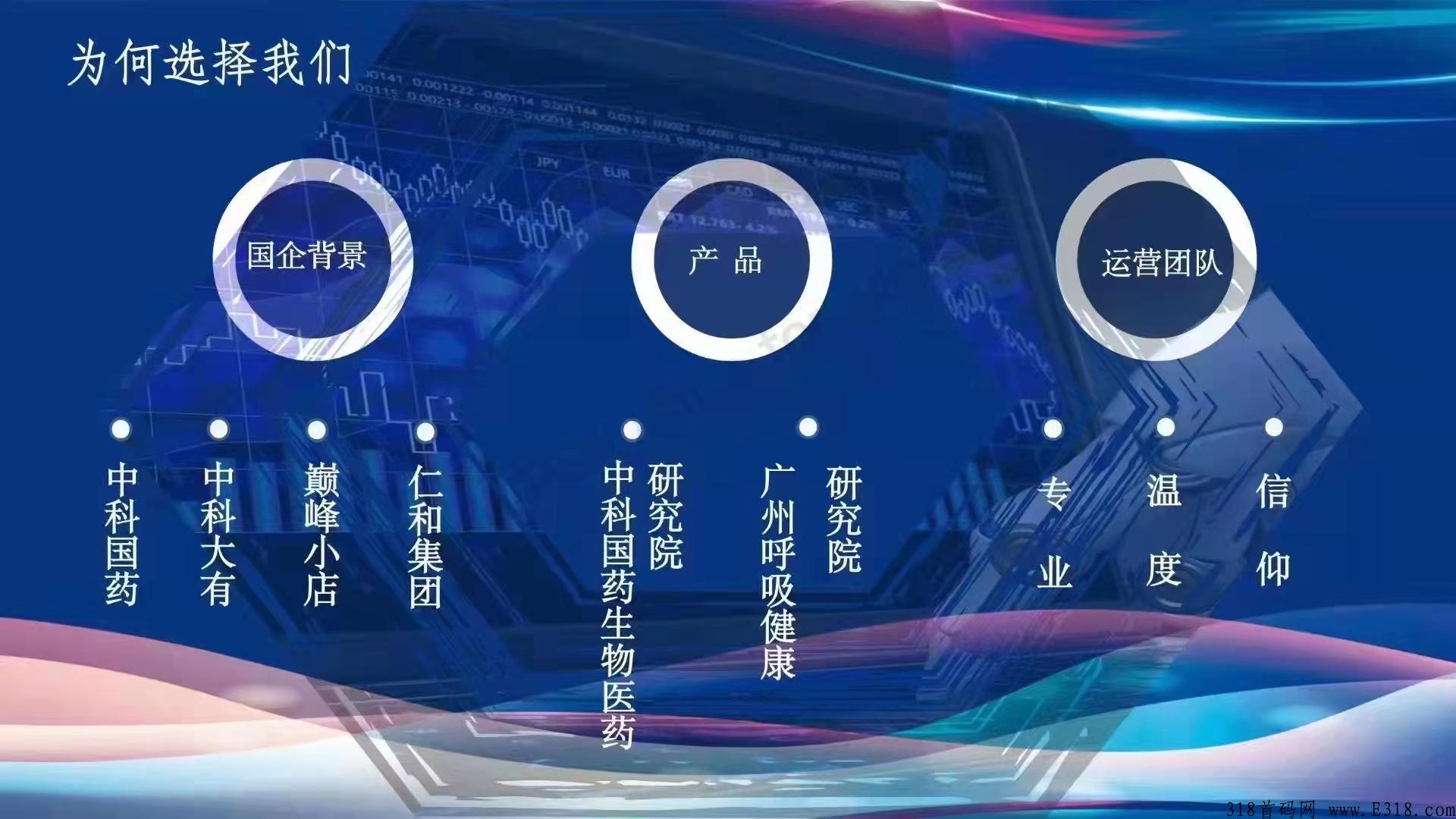 巅峰小店是个什么样的平台?项目是国家支持的吗?