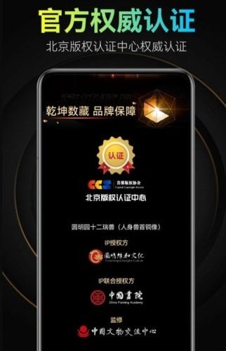 美幻艺术数藏,目前市场一片空白