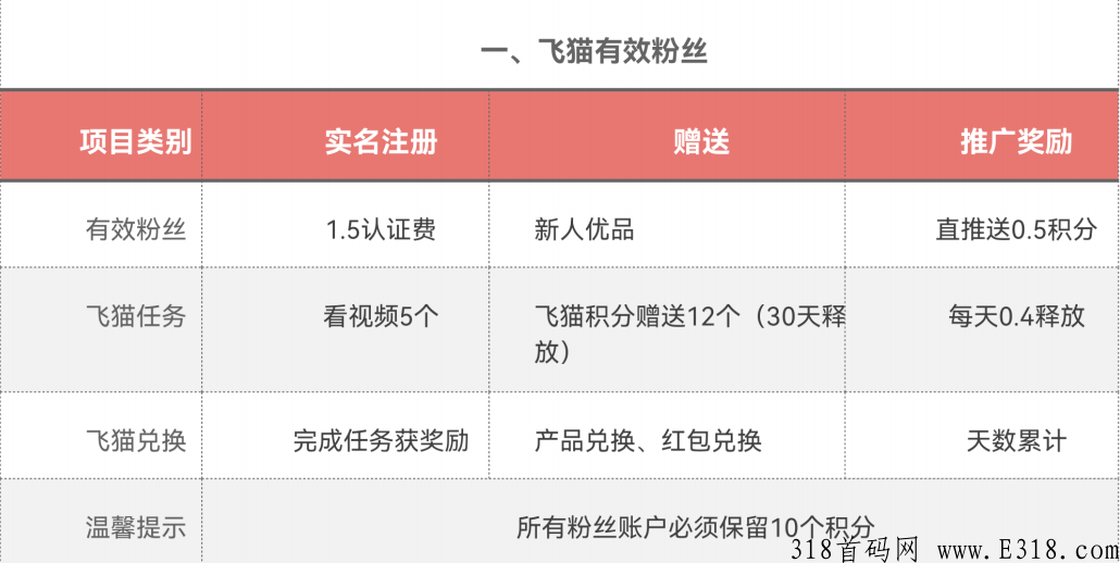 飞猫优品排线,当下火热排线中